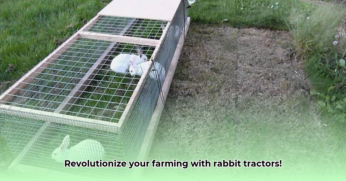 joel-salatin-rabbit-tractor